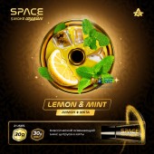 Бестабачная паста Space Smoke Arabian Lemon Mint (Лимон Мята) 30г